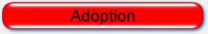 Adoption